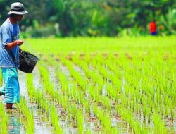 Komisi 1 DPRD Jabar soroti pentingnya regulasi lahan abadi pertanian Pemkab Bekasi